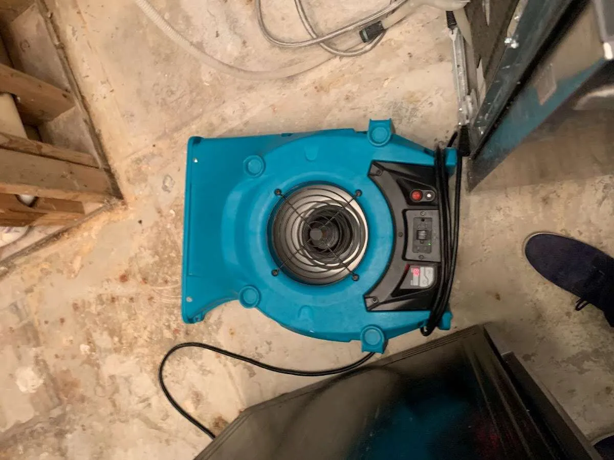 Air mover drying equipment for Mold Remediation & Removal in New Canaan